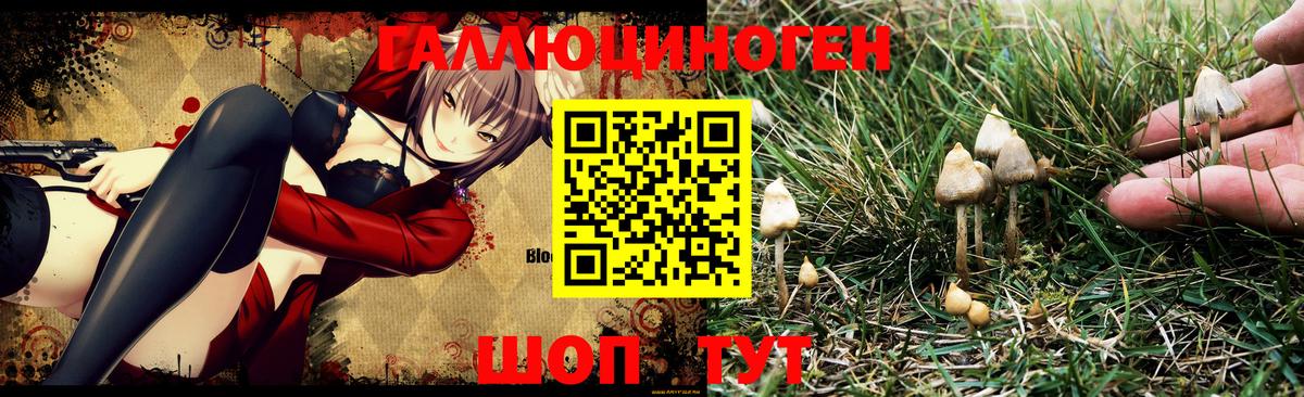 Марихуана  Cocaine  МЕФ  Медногорск  Вход с VPN  Где найти наркотики?  A PVP СК   Меф МЯУ МЯУ   ГАШИШ 