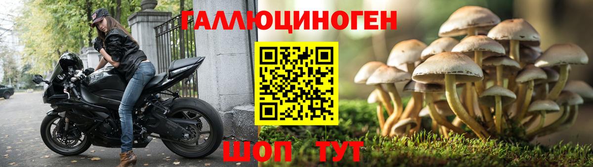 Псилоцибиновые грибы Cubensis  как найти наркотики  Медногорск  Вход с VPN 